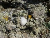 Иван Науменко фотография #19 (источник - https://vk.com/id1709245)