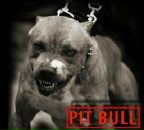 Сергей Волошин фотография #47 (источник - https://vk.com/id9770224)