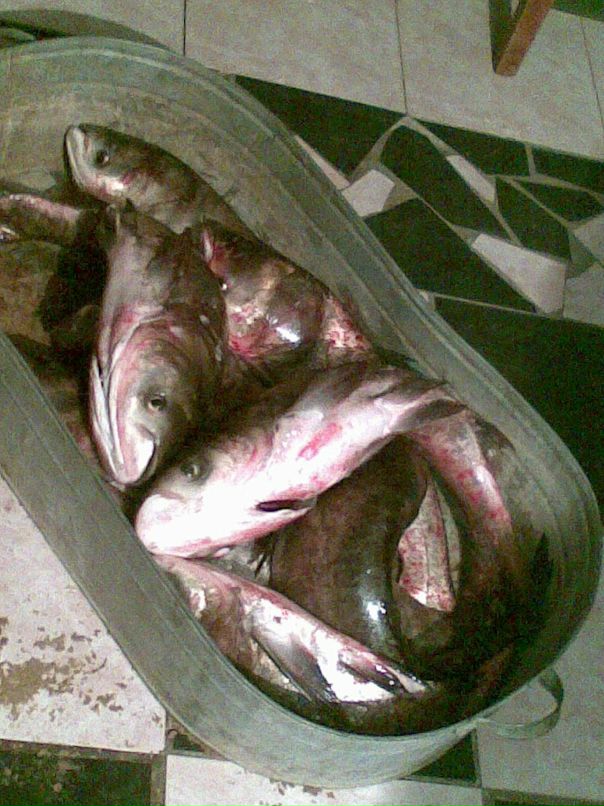 Олег B@ld фотография #5