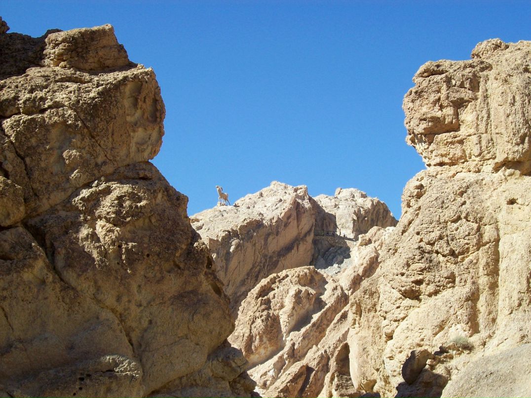 Галина Майборода фотография #34