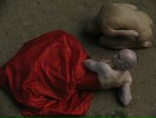 Фотография Карловой Светланы