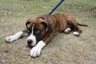 Кирилл Митяев фотография #11 (источник - https://vk.com/id6828811)