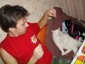 Фотография  