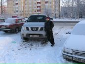 Фотография  