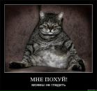 Іван Горбань фотография #6 (источник - https://vk.com/id9568173)