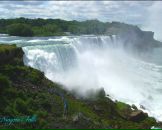 Фотография Ченцова Алёна