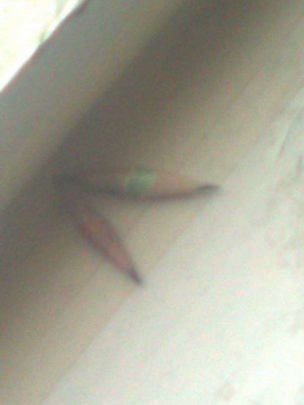 Дима Борисов фотография #8