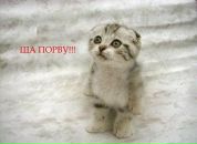 Віталік Лопатинський фотография #1