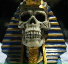 Фотография Олейник Полины