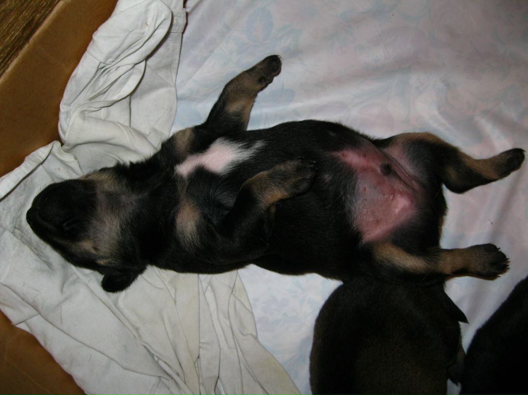 Станислав Стас фотография #46