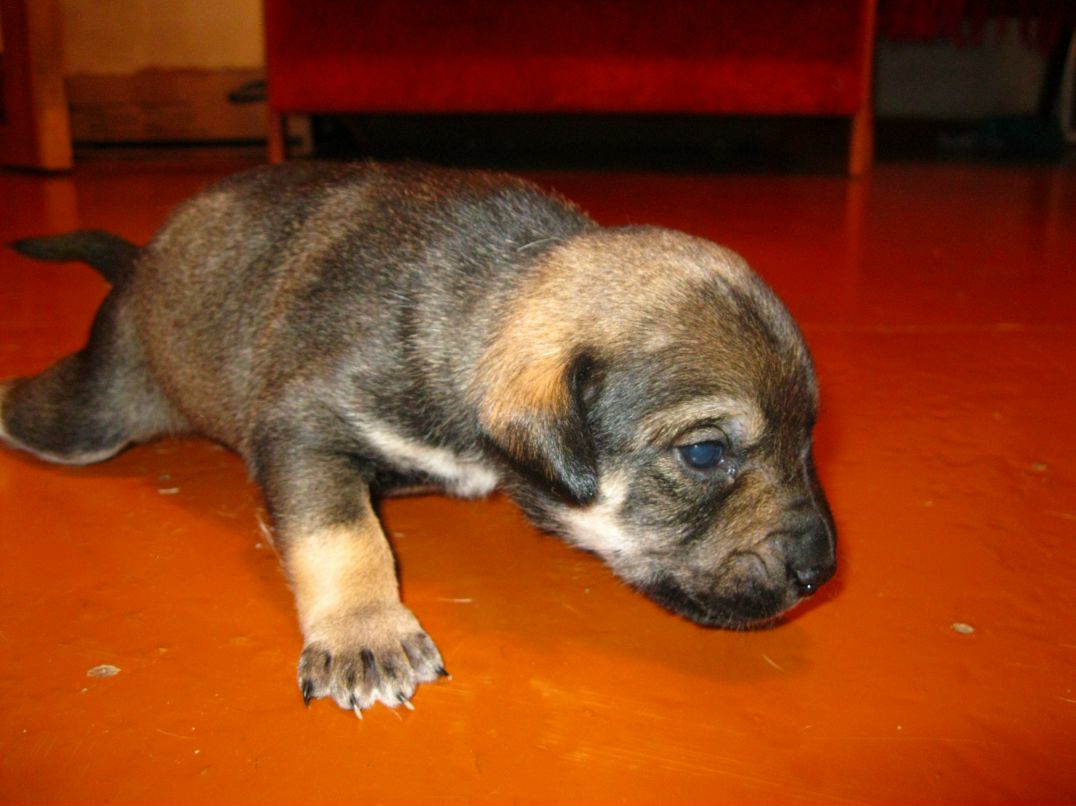 Станислав Стас фотография #30