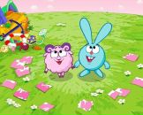 Фотография Жук Сергей