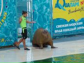 Юля Камінська фотография #38 (источник - https://vk.com/id68986702)