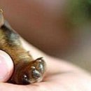 Каріно4ка♥ Шрамко фотография #23 (источник - https://vk.com/id147791993)