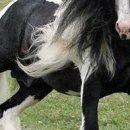 Каріно4ка♥ Шрамко фотография #43 (источник - https://vk.com/id147791993)