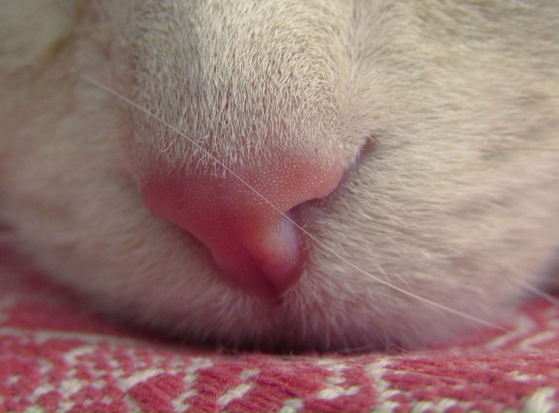 Валя Самапосебе фотография #35