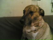 Максим Куварзін фотография #29 (источник - https://vk.com/id6530006)