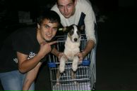 Денис Бєлов фотография #2 (источник - https://vk.com/id97611781)