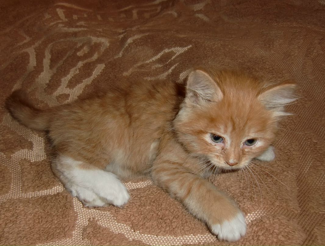 Сергей Николаев фотография #39