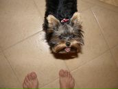 Фотография Гилязеева Айрата