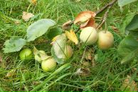 Вадзім Урублеускі фотография #9 (источник - https://vk.com/id14968982)