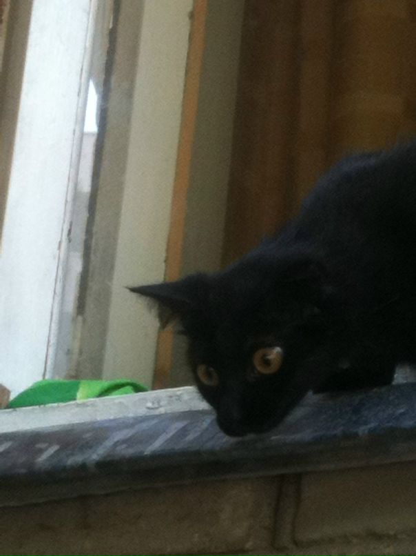 Антон Steff фотография #9