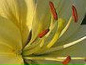 Лілія Рудікова фотография #10 (источник - https://vk.com/id134639062)