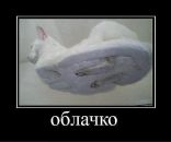 Igorko Sema фотография #34 (источник - https://vk.com/id20006038)