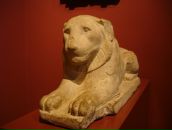 Анна Касьянова фотография #17 (источник - https://vk.com/id2315342)