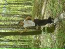 Анатолій Якимчук фотография #31 (источник - https://vk.com/id98021212)