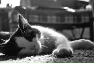 Viktor Jb фотография #40 (источник - https://vk.com/id6032607)