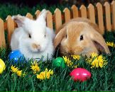 Юлічка Стахів фотография #1