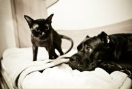 Фотография Брякиной Яны