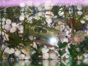 Славік Вергун фотография #24 (источник - https://vk.com/id134061581)