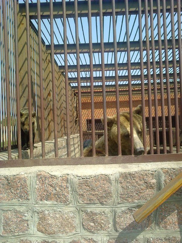 Dylan Angue фотография #39