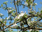 Фотография Громовой Ольги