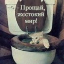 Андрій Назарець фотография #20 (источник - https://vk.com/id65065180)