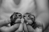 Наталія Ситнік фотография #24 (источник - https://vk.com/id151034334)