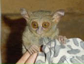 Данил Смирнов фотография #49 (источник - https://vk.com/id532575)