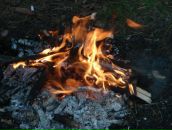 Фотография Агеева Игоря