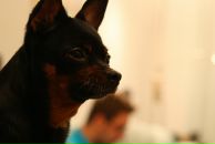 Dmitry Druz фотография #1