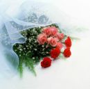 Діма Сень фотография #34 (источник - https://vk.com/id145533996)