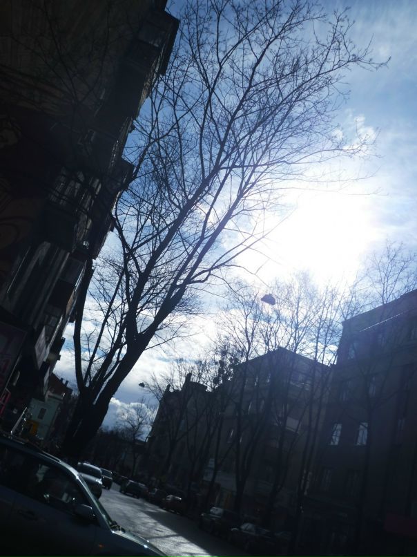 Dragon Fly фотография #35