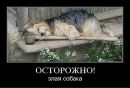 Kote Kot фотография #4 (источник - https://vk.com/id123776181)