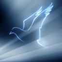 Фотография Васильевой Натальи