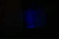 Bruce Raw фотография #45 (источник - https://vk.com/id629149)