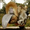 Фотография Куандыковой Зауре