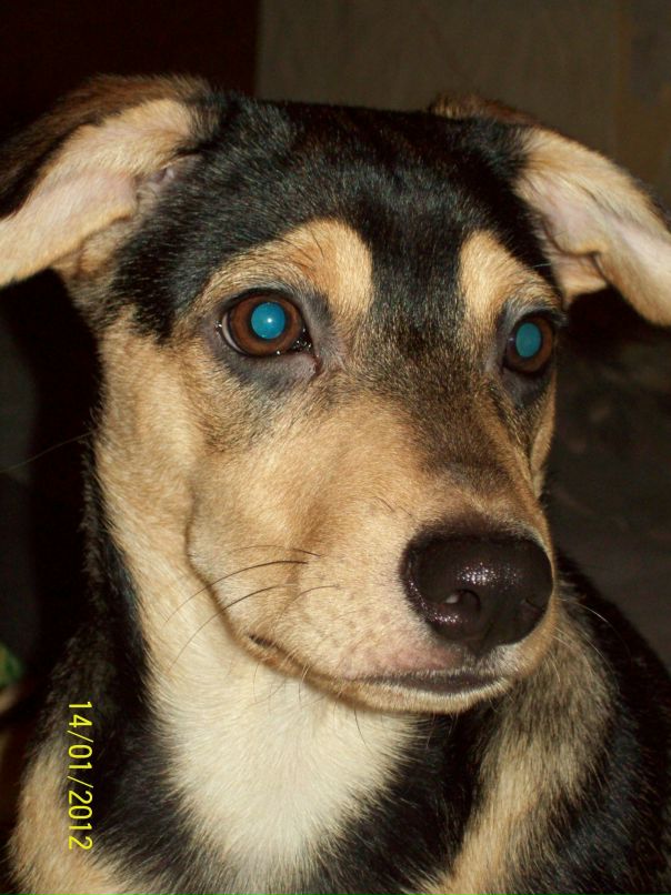 Юрий Юркевич фотография #22