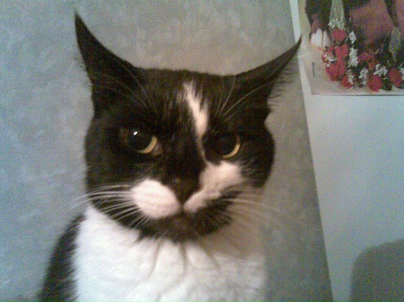 Дмитрий Григоренко фотография #29