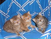 Фотография Плуженской Мариши